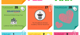 2019 Weekly Admissions