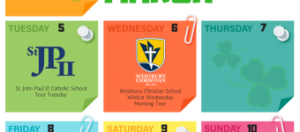 2019 Weekly Admissions